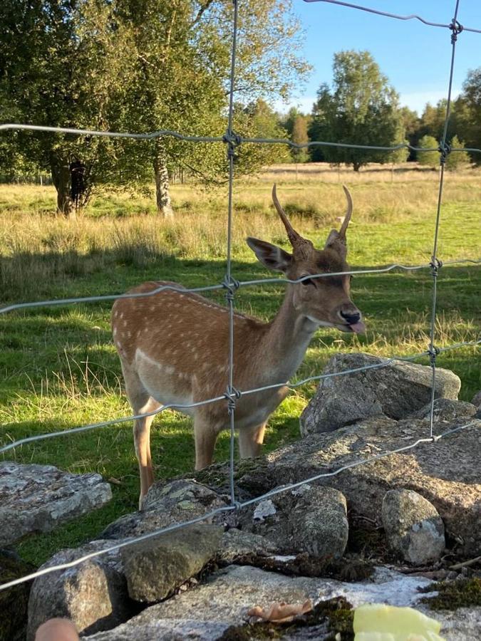 Damwildfarm In Rollerbue Suedschweden Villa Tyringe Exterior photo